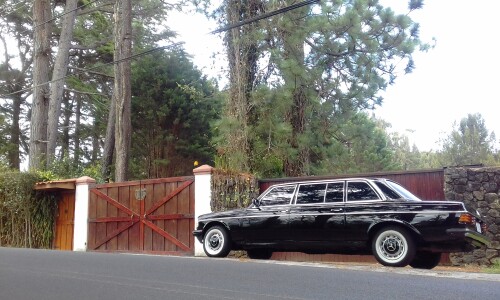 CENTRALAMERICACOUNTRYESTATE.MERCEDES300DLANGLIMOUSINE..jpg